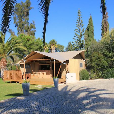 Palmeiras Cottages Mexilhoeira Grande Kültér fotó
