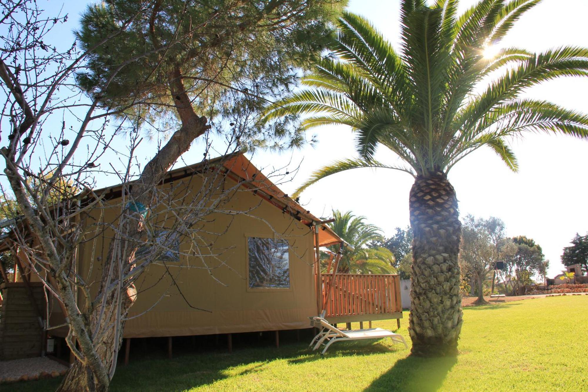 Palmeiras Cottages Mexilhoeira Grande Kültér fotó